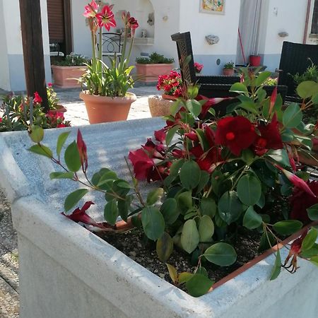 Il Casale Del Generale Bed & Breakfast Agerola Ngoại thất bức ảnh