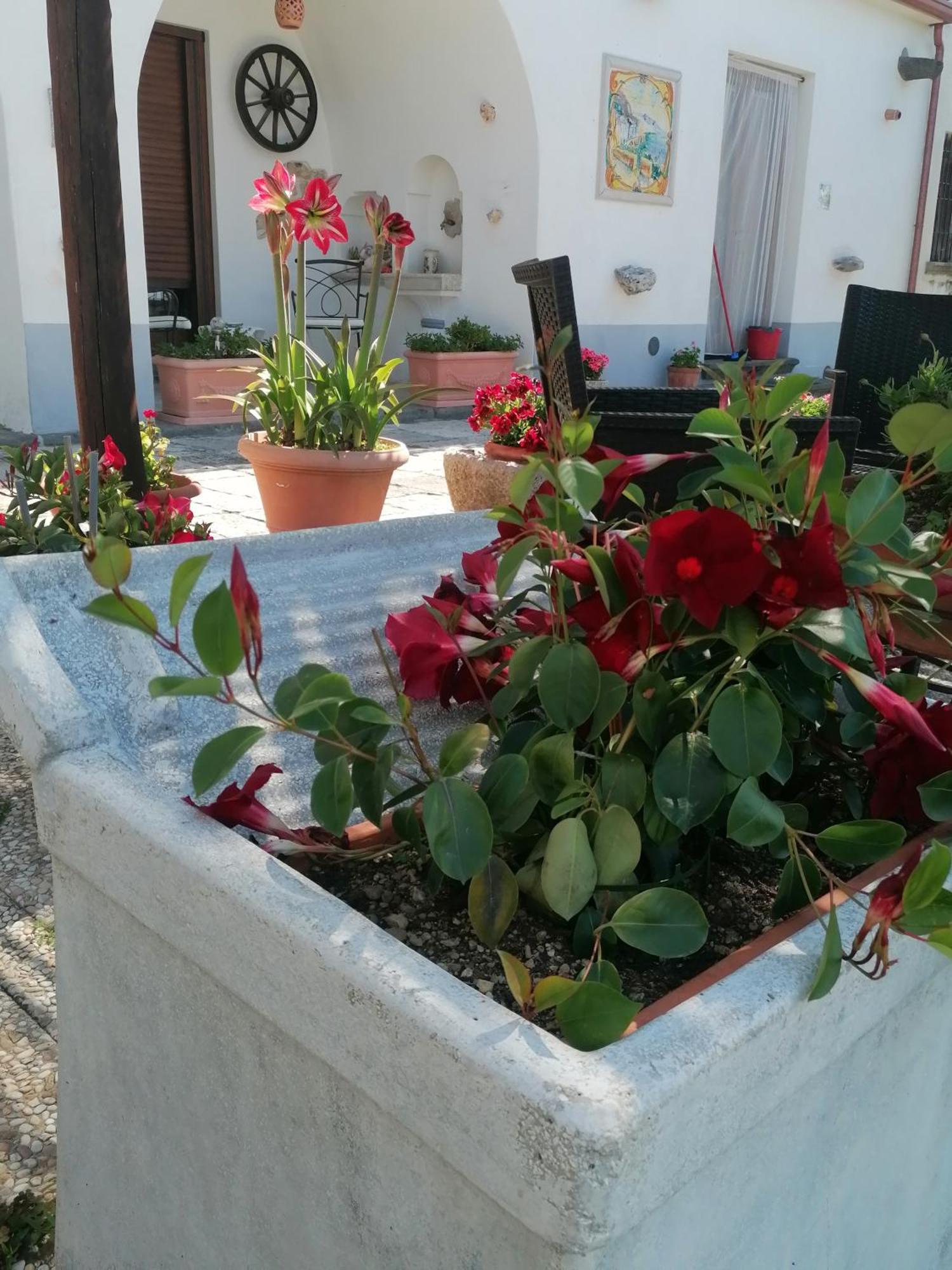 Il Casale Del Generale Bed & Breakfast Agerola Ngoại thất bức ảnh