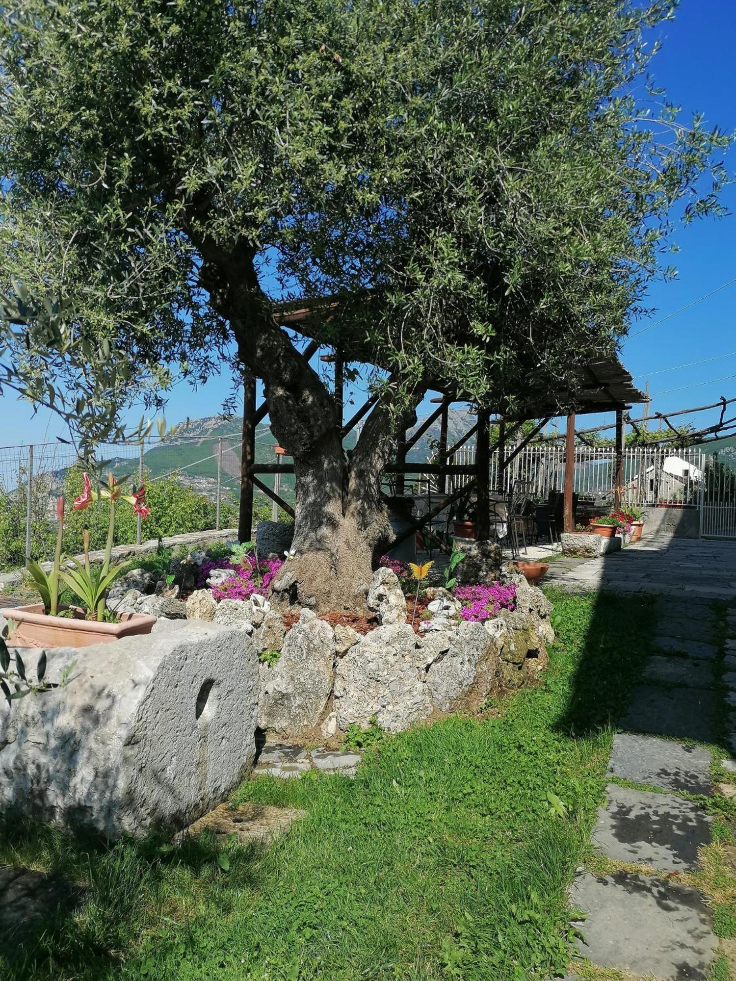 Il Casale Del Generale Bed & Breakfast Agerola Ngoại thất bức ảnh